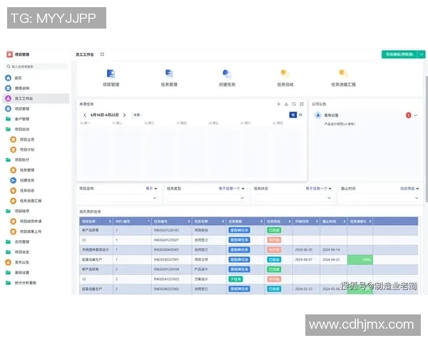 全面提升项目执行力的策划思路与实操指南