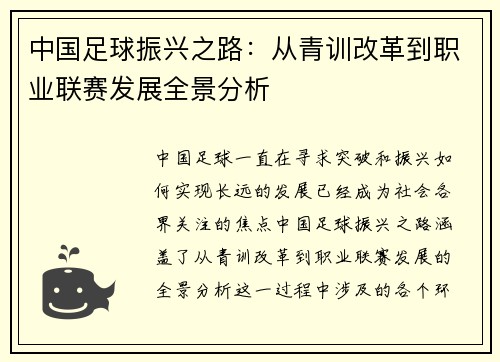 中国足球振兴之路：从青训改革到职业联赛发展全景分析