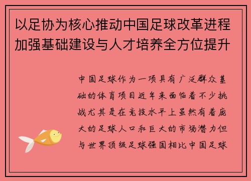 以足协为核心推动中国足球改革进程加强基础建设与人才培养全方位提升竞技水平